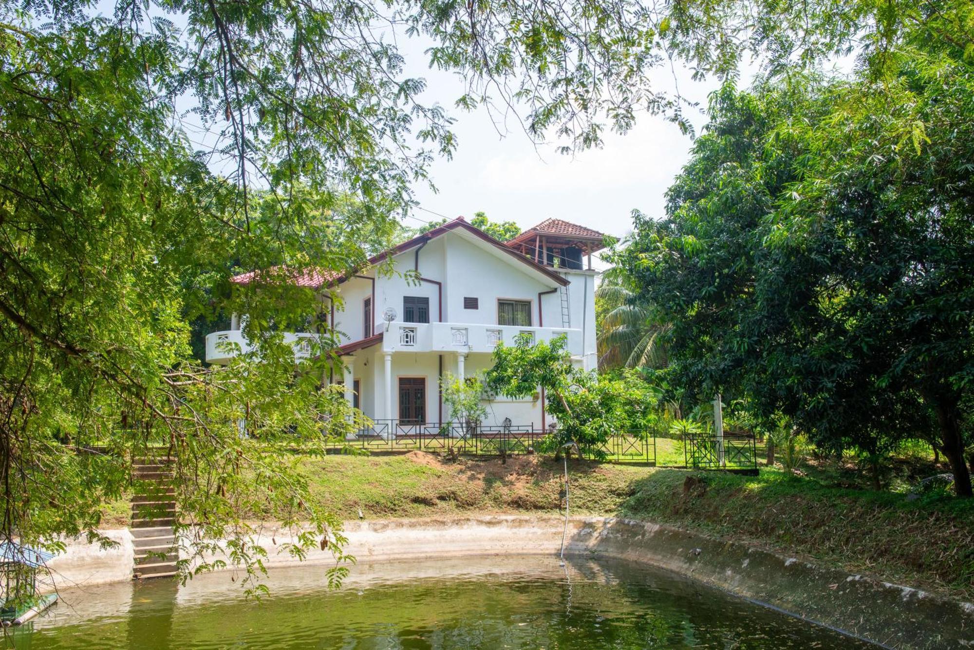 The Jungle Pearl Hotel Udawalawe Exterior photo